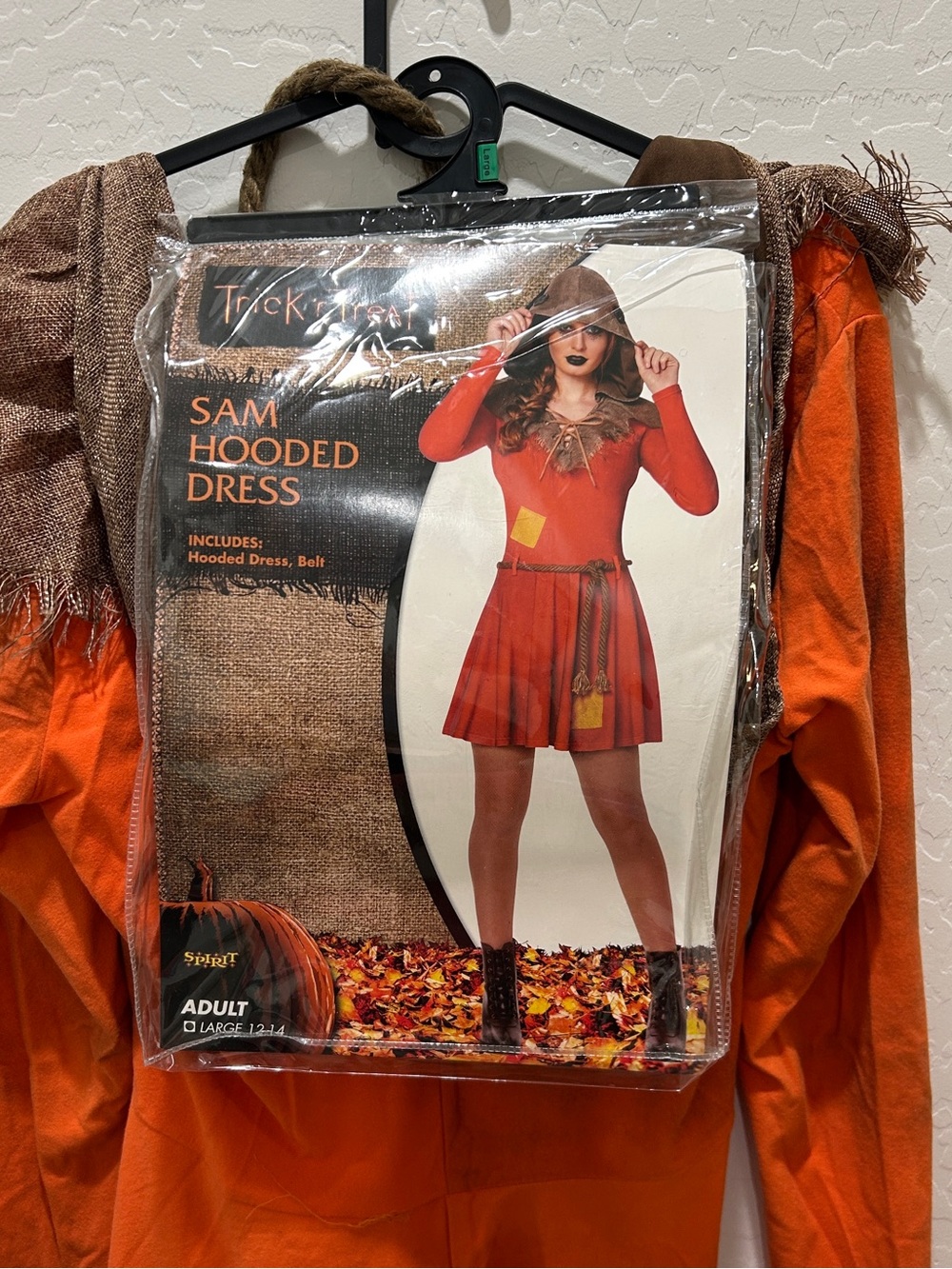 Sam Hooded Costume